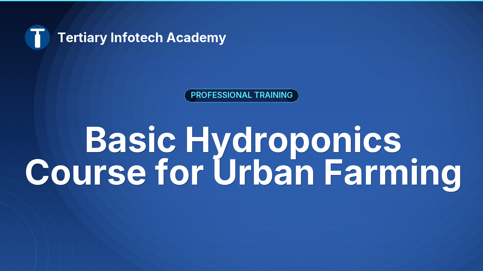 Basic Hydroponics Course for Urban Farming